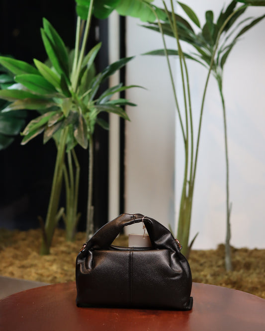sleek bag
